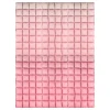 Backdrop Folieballong Rosa Ombre