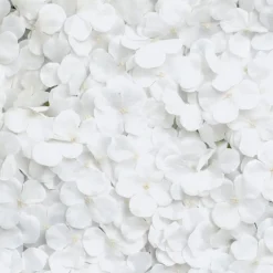 Backdrop Hortensia Hvit