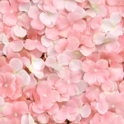 Backdrop Hortensia Rosa