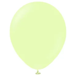 Ballonger Professional Macaron Pistachio
