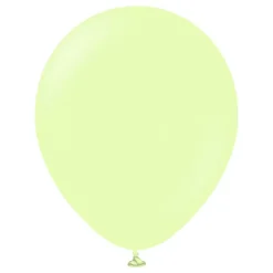Ballonger Professional Store Macaron Pistachio