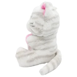 Ballongvekt Katt med Øye