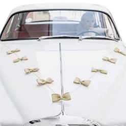 Bilpynt Bryllup Kit