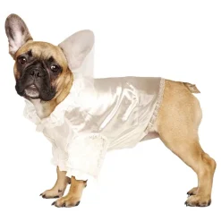 Brud Kostyme for hund