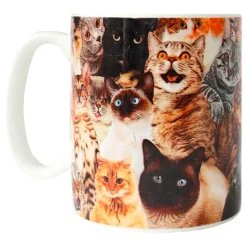 Crazy Cat Lady Kopp