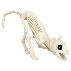 Dyreskjelett Katt Prop