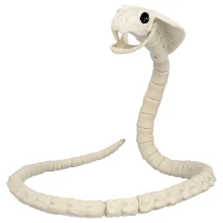 Dyreskjelett Slange Prop