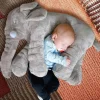 Elefant Kosedyr