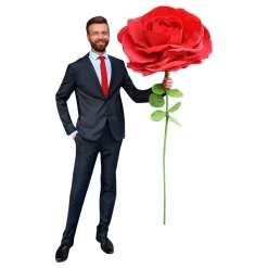 Gigantisk Rose