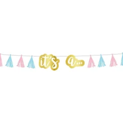 Girlander Boy or Girl Reveal