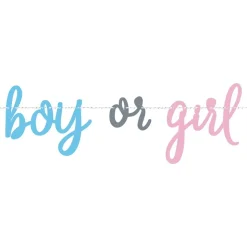 Girlander Gender Reveal Boy or Girl