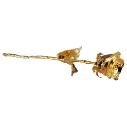 Gullbelagt Rose