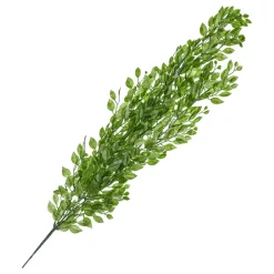 Hengende Blader Grønne