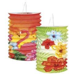 Hibiscus-lykter