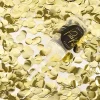 Konfetti Push Pop Gull Metallic
