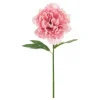 Kunstig Blomst Peon Rosa
