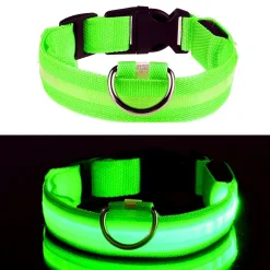 LED Hundehalsbånd