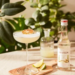 Monin Cane Sugar Sirup 25 cl