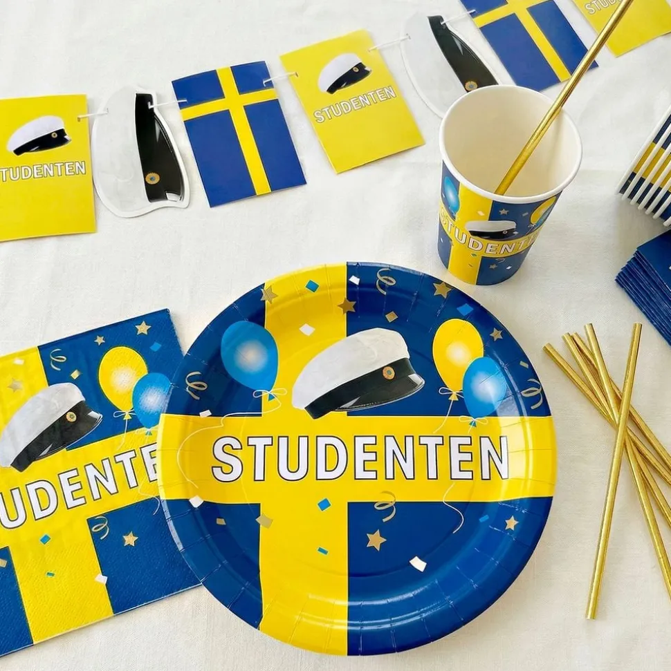 Papptallerkener Studenten