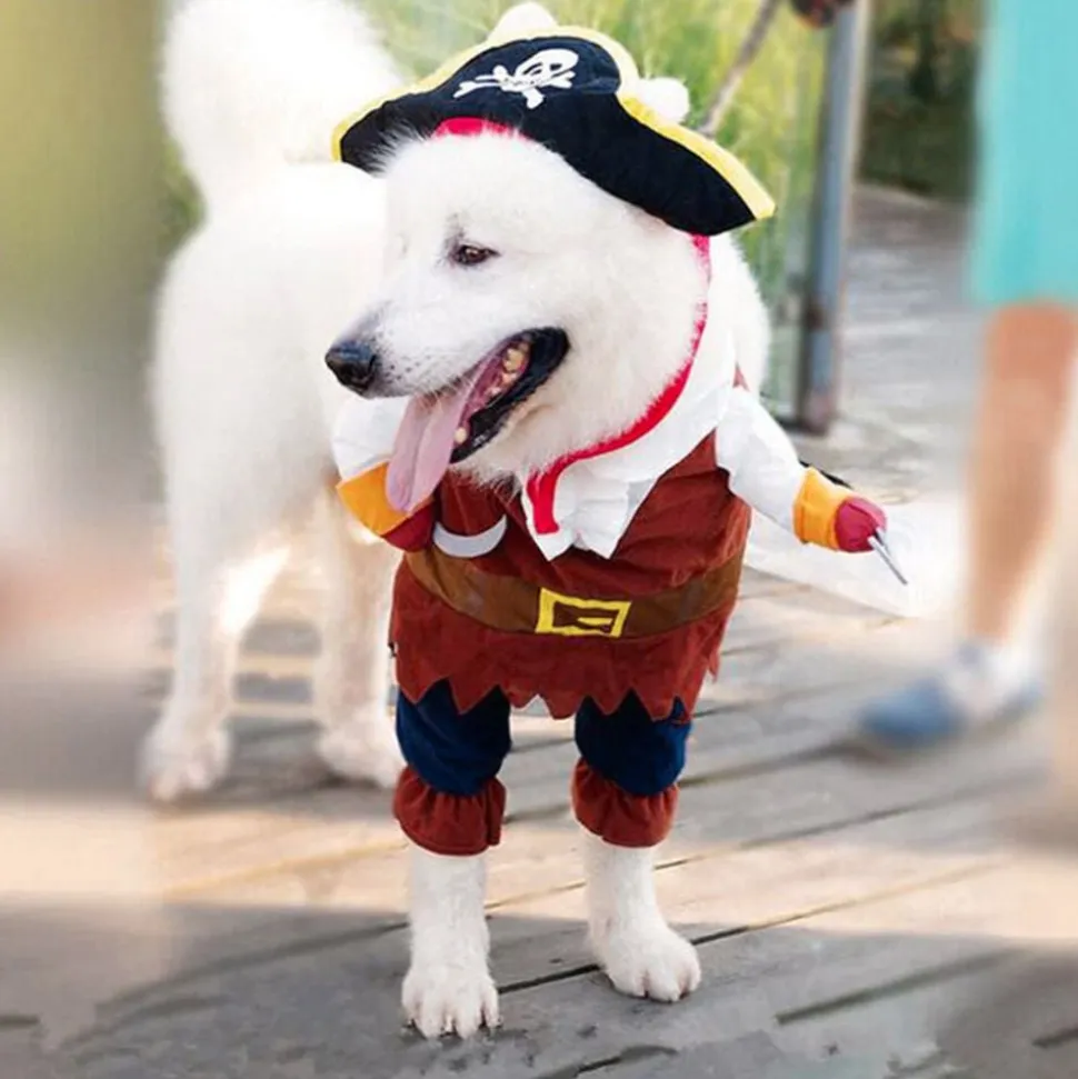 Pirat Kostyme for Katt/Hund