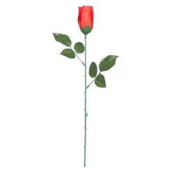 Røde Roser