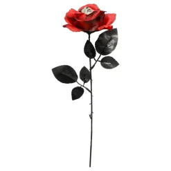 Rød Rose med Øye