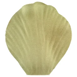 Rosenblader Oliven