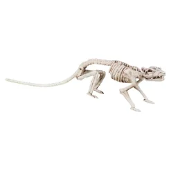 Rotte Skjelett Prop