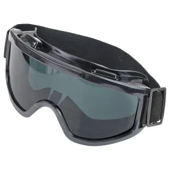 Skibriller Svart