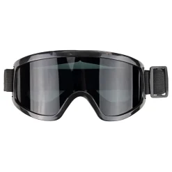 Skibriller Svart