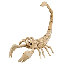 Skorpion Skjelett Prop