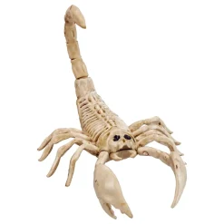 Skorpion Skjelett Prop