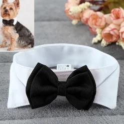 Sløyfe for Hund