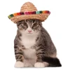 Sombrero for Husdyr