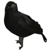Svart Ravn Dekorasjon
