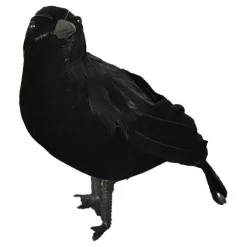 Svart Ravn Dekorasjon