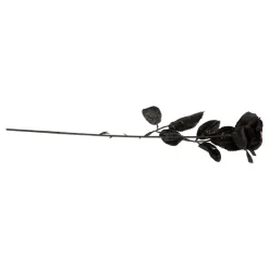 Svart Rose med Øye