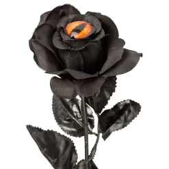 Svart Rose med Øye